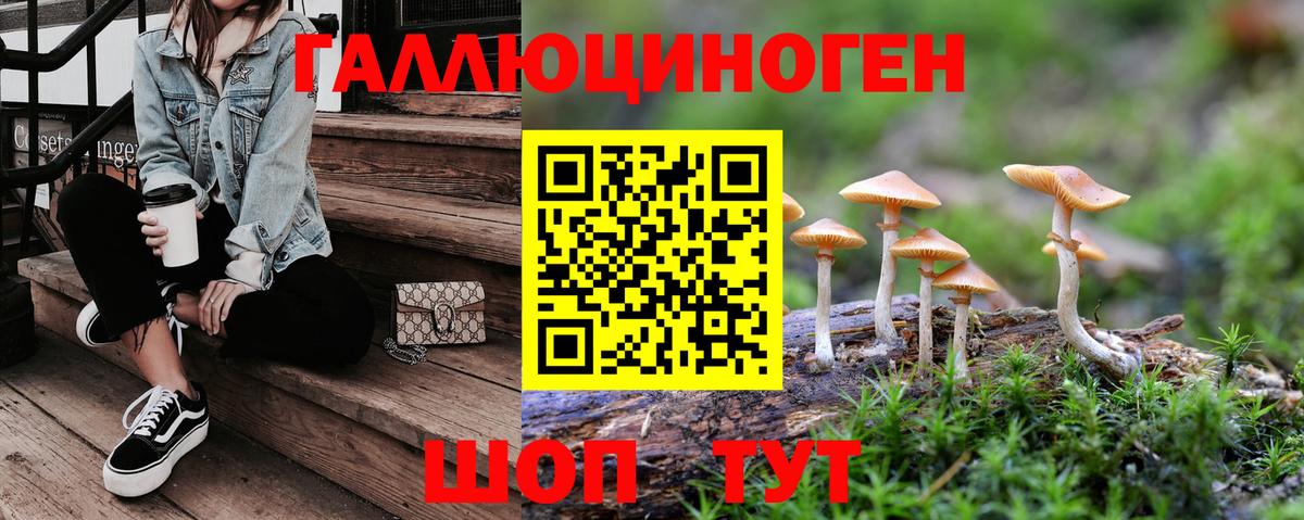 Псилоцибиновые грибы ЛСД Сухой Лог
