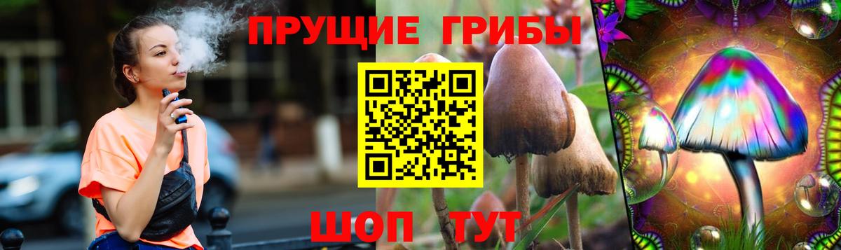 Сухой Лог  Галлюциногенные грибы ЛСД  Вход с VPN 